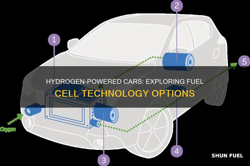 which cars have hydrogen fuel cells
