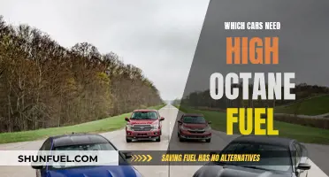 High-Performance Cars: Do They Need High Octane Fuel?