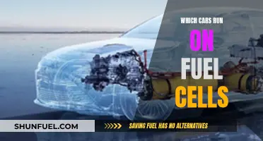 Fuel-Cell Cars: Which Models Run on This Technology?