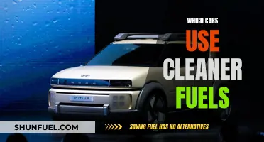 Cleaner Fuels: Which Cars Are Leading the Way?