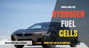 Hydrogen Fuel Cell Cars: Brands and Models Leading the Green Revolution