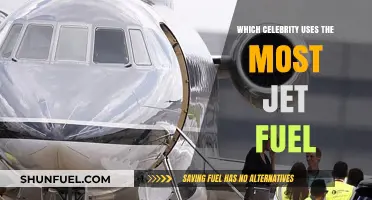 Celebrity Carbon Footprint: Who Burns the Most Jet Fuel?