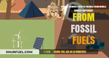 Renewable Energy: Sustainable, Infinite, and Environmentally Friendly