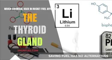 Rocket Fuel Chemical Perchlorate: Its Impact on Thyroid Function Explained