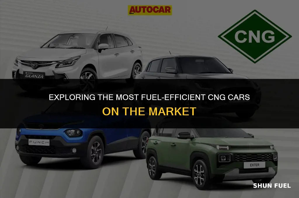 which cng car has best mileage