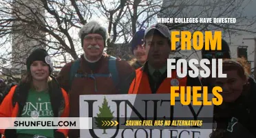Colleges Leading the Way: Divestment from Fossil Fuels in Higher Education