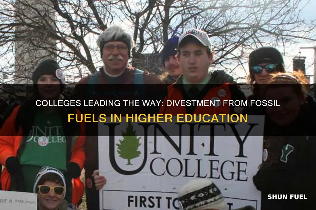 which colleges have divested from fossil fuels