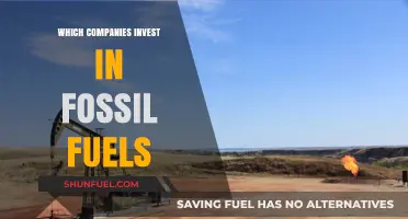 Unveiling Corporate Fossil Fuel Investments: Who's Funding the Industry?