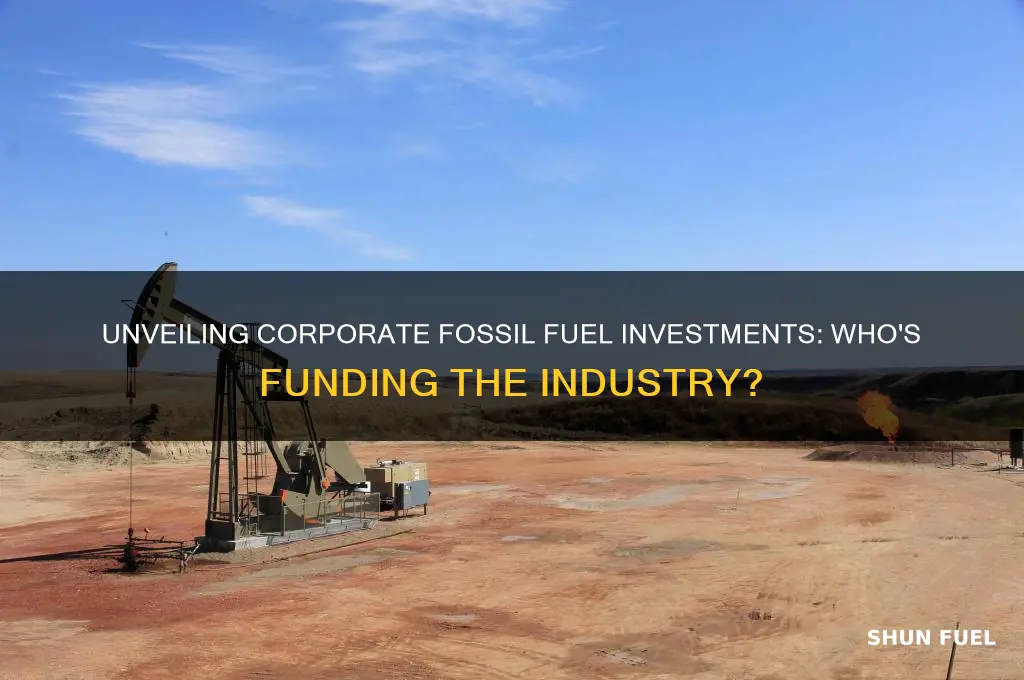which companies invest in fossil fuels