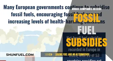 Unveiling the Beneficiaries: Companies Receiving Fossil Fuel Subsidies