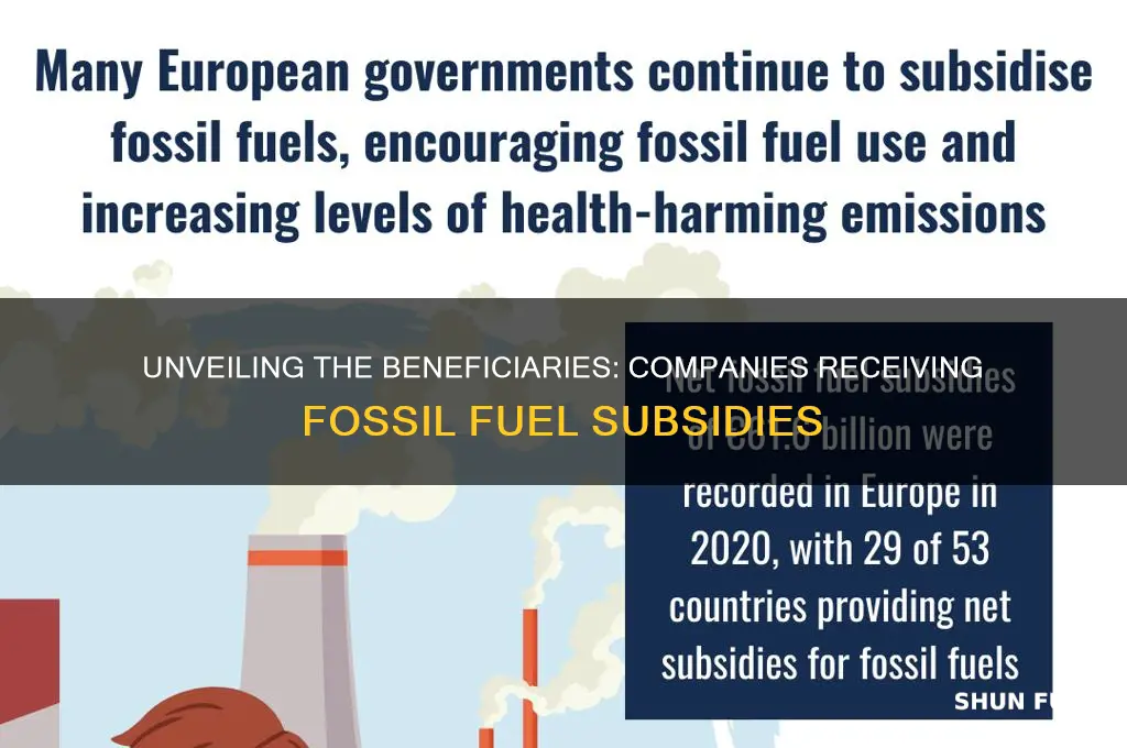 which companies receive fossil fuel subsidies