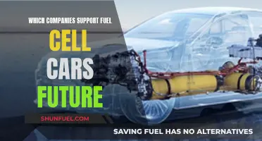 The Future of Fuel Cell Cars: Who's Supporting This?