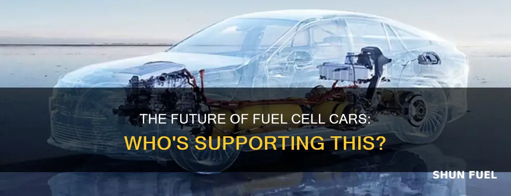 which companies support fuel cell cars future