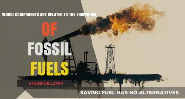 Key Components Driving the Formation of Fossil Fuels Explained