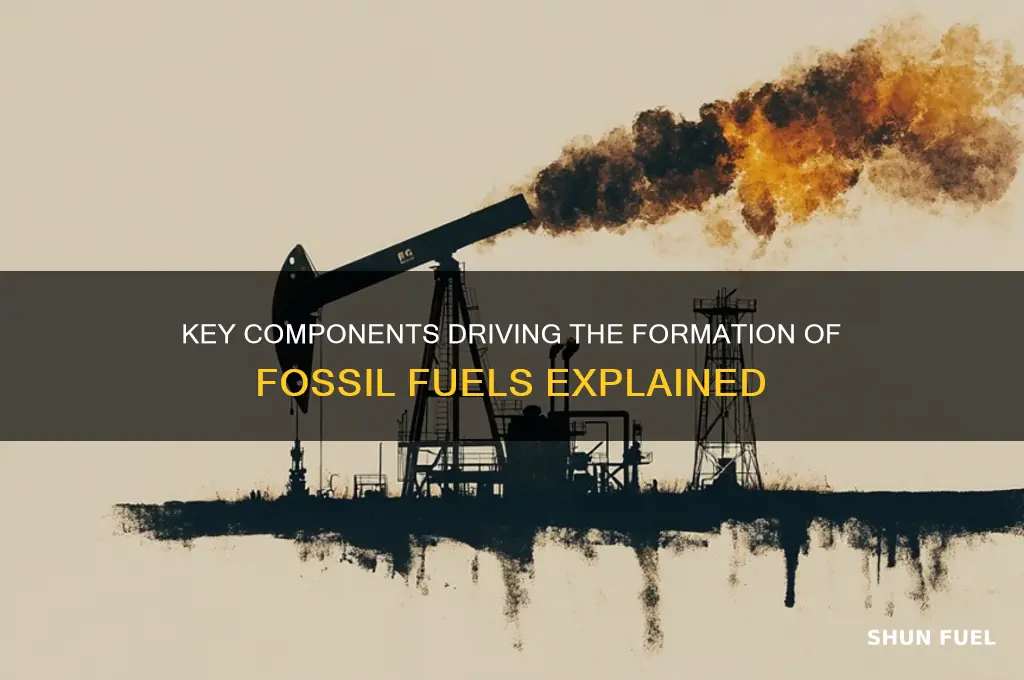 which components are related to the formation of fossil fuels