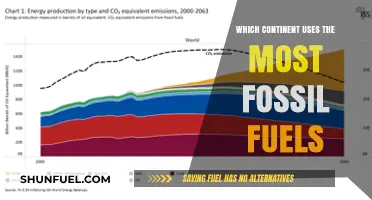Fossil Fuel Consumption: Which Continent Relies Most on Non-Renewables?