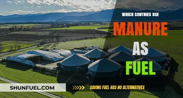 Manure as Fuel: Exploring Countries Embracing Sustainable Energy Alternatives