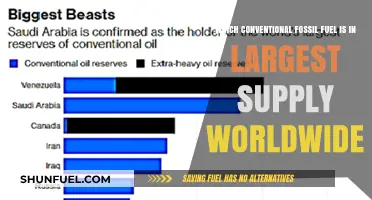 Global Fossil Fuel Reserves: Which Conventional Source Dominates Worldwide?