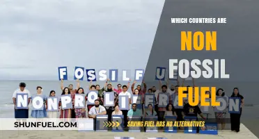 Exploring Nations Leading the Shift Away from Fossil Fuels