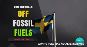 Global Leaders: Countries Successfully Transitioning Away from Fossil Fuels
