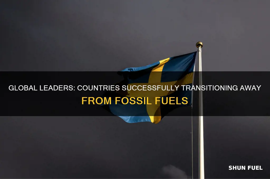 which countries are off fossil fuels