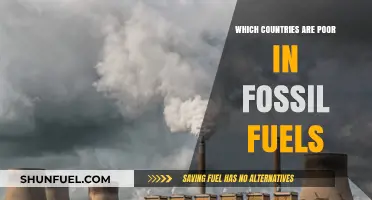 Fossil Fuel Scarcity: Which Nations Lack Abundant Energy Reserves?