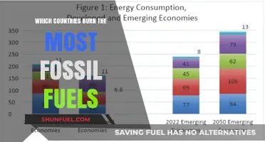 Top Fossil Fuel Consumers: Which Nations Burn the Most?