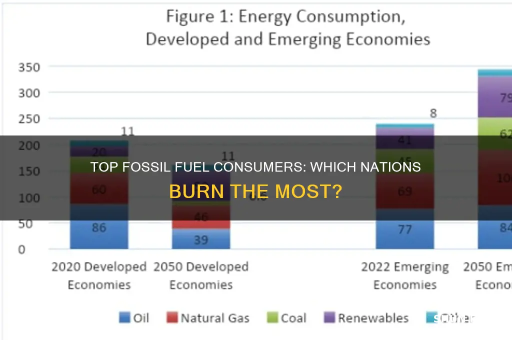 which countries burn the most fossil fuels
