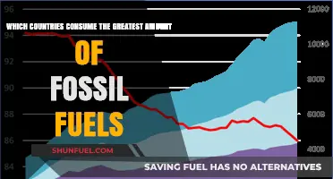 Global Fossil Fuel Consumption: Top Nations Leading Energy Usage