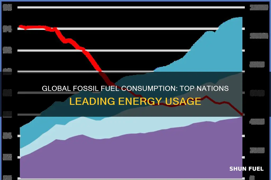 which countries consume the greatest amount of fossil fuels