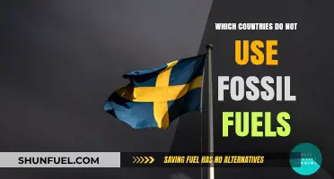 Exploring Nations Leading the Way: Countries Free from Fossil Fuels