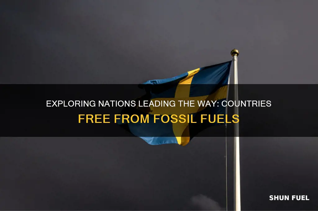 which countries do not use fossil fuels