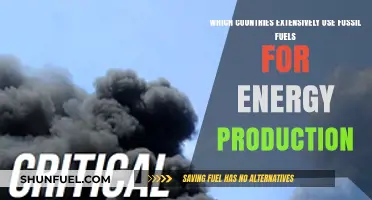 Fossil Fuel Dominance: Top Nations Relying on Non-Renewable Energy
