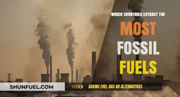 Global Fossil Fuel Extraction: Top Countries Leading the Industry