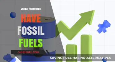 Global Fossil Fuel Reserves: Mapping Countries with Abundant Energy Resources