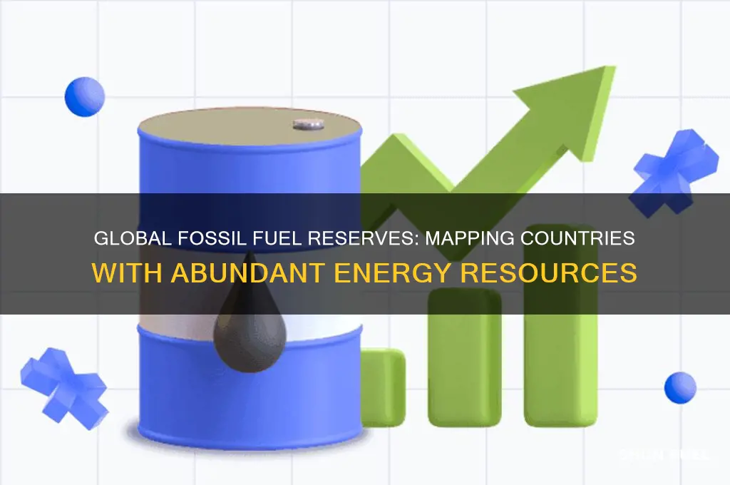 which countries have fossil fuels