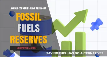 Global Fossil Fuel Reserves: Top Countries Dominating Energy Resources