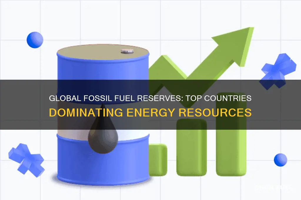 which countries have the most fossil fuels reserves