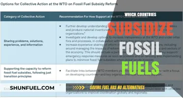 Global Fossil Fuel Subsidies: Which Countries Still Fund Dirty Energy?