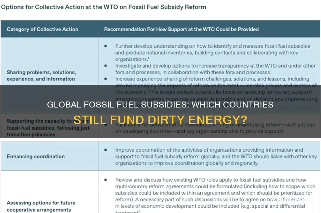 which countries subsidize fossil fuels