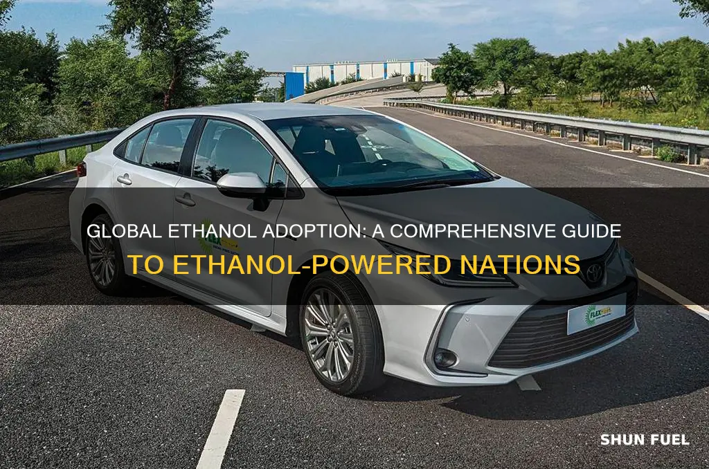 which countries use ethanol fuel for cars