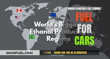 Ethanol Fuel Usage: Which Countries Embrace This Green Energy?