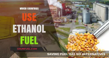 Global Adoption of Ethanol Fuel: Which Countries Lead the Way?