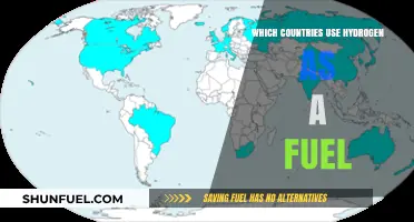 Hydrogen Fuel Adoption: Which Countries Are Leading the Energy Transition?