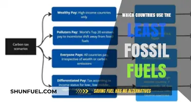 Leading the Charge: Countries with the Lowest Fossil Fuel Use