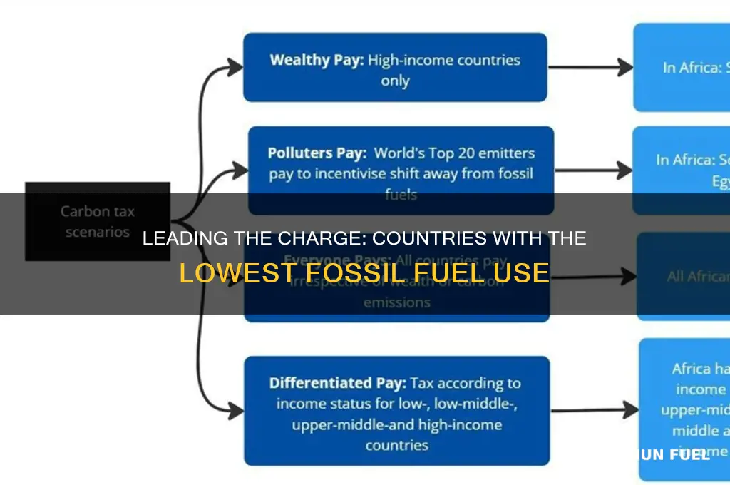 which countries use the least fossil fuels