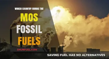 Global Fossil Fuel Consumption: Which Nation Burns the Most?