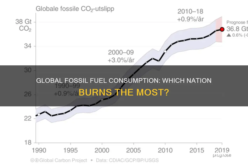 which country burns the mos fossil fuels