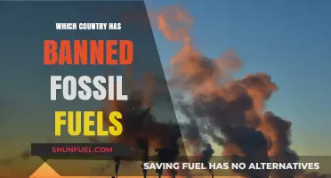Global Shift: Countries Leading the Ban on Fossil Fuels