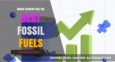Global Fossil Fuel Giants: Ranking Nations with Top Energy Reserves